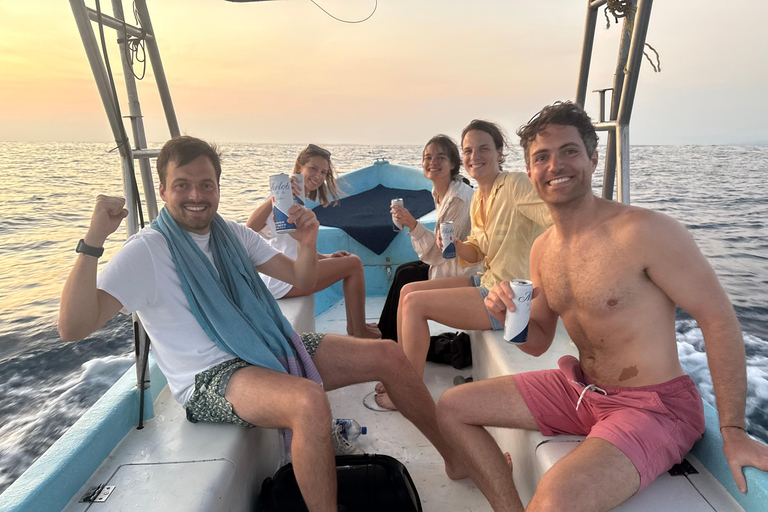 Puerto Escondido: Bootstour zu Delfinen und MeerestierenPrivate Tour