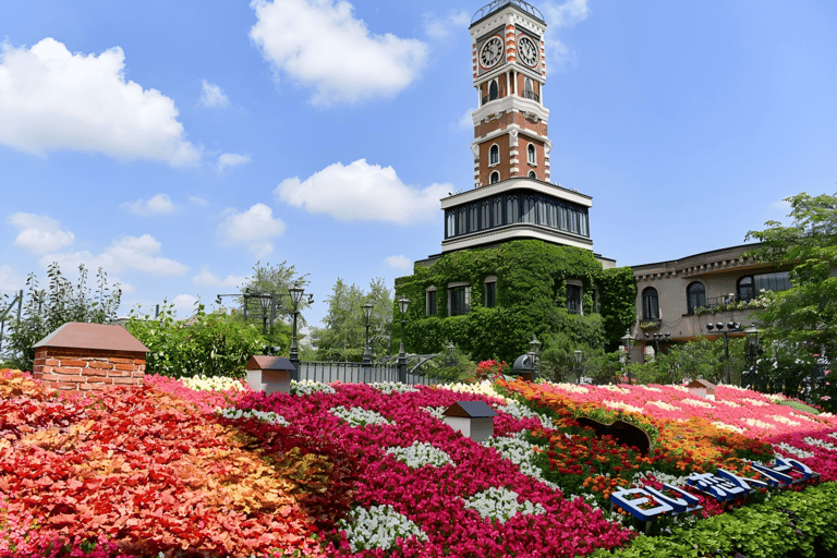هوكايدو، سابرو، أوتارو، وكيب كاموي | جولة ليوم واحد