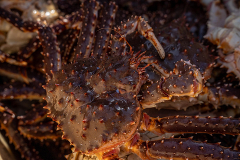 The official Tromsø king crab fish tour