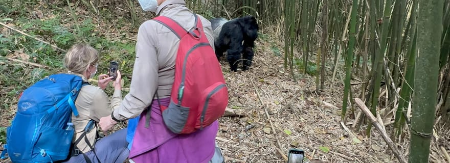 1 jour de trekking dans le parc national des gorilles de Mgahinga