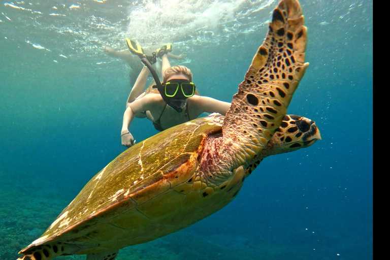 Blue Lagoon Snorkeling Tour particular em um barco com deckBarco privativo no deque ao sol Ponto de encontro para mergulho com snorkel na Lagoa Azul