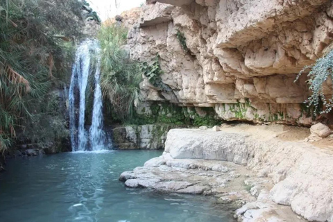 Natuurreservaat Ein Gedi en de Dode Zee in het RussischEin Gedi in het Russisch