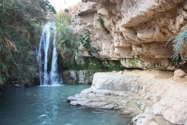 Natuurreservaat Ein Gedi en de Dode Zee in het RussischEin Gedi in het Russisch