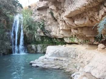 Ein Gedi Nature Reserve and the Dead Sea in Russian