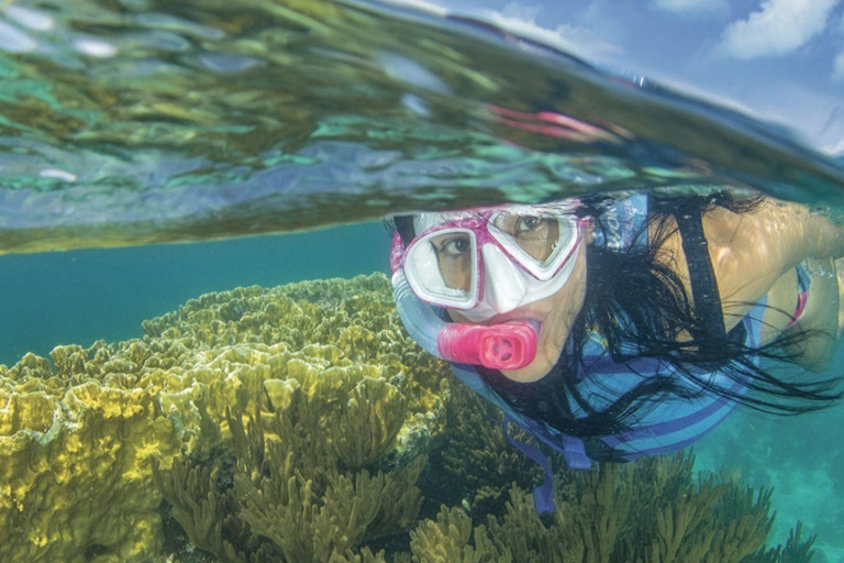 Cancun: Parasailing, Speedboat & Snorkeling Cancun: Parasailing Option