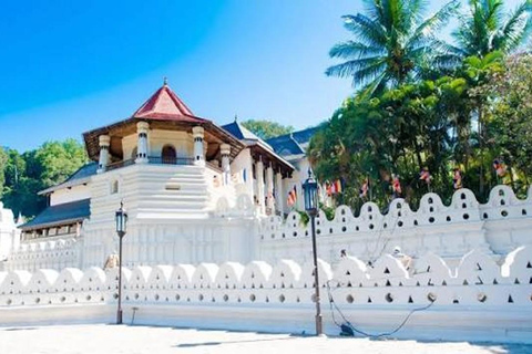 From Sigiriya: Kandy Private Tour with Dambulla Temple