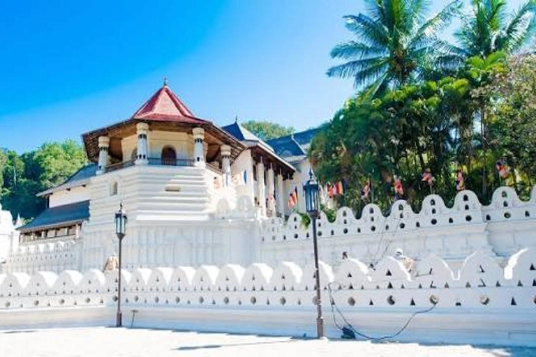 From Sigiriya: Kandy Private Tour with Dambulla Temple