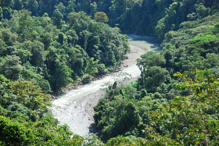From San José: Pacuare River Rafting Day Trip with Lunch
