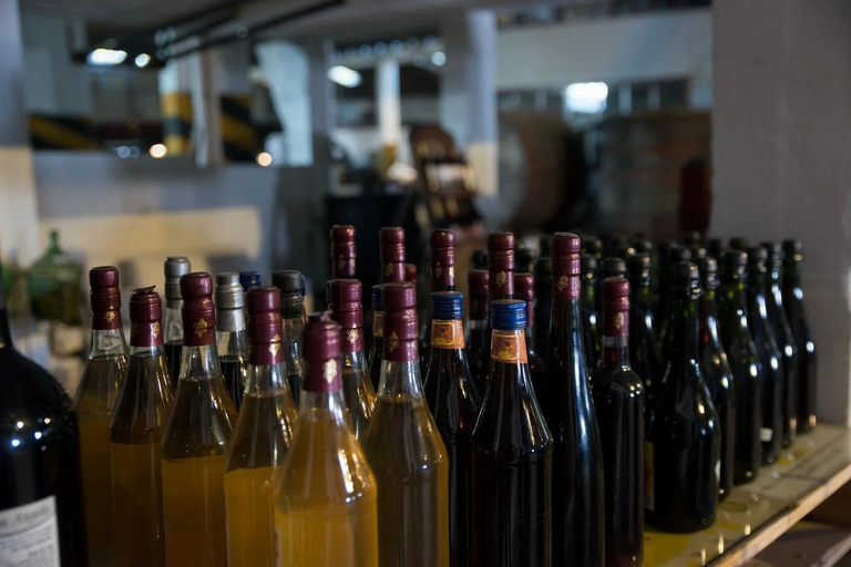 Montevideo: Century-Old Urban Winery Tour & 6-Wine Tasting
