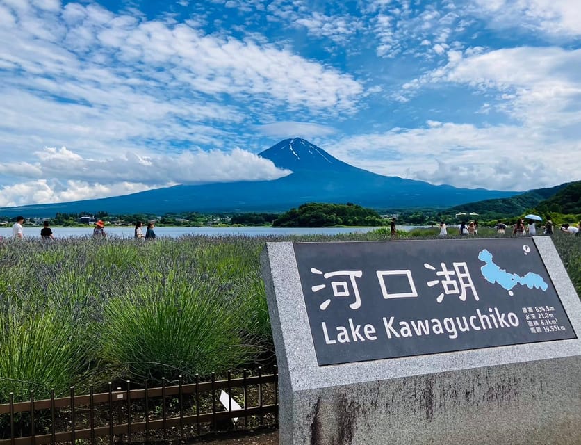 メディア コラージュ