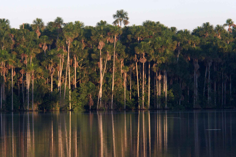 Aventura de 3 dias na floresta amazónica