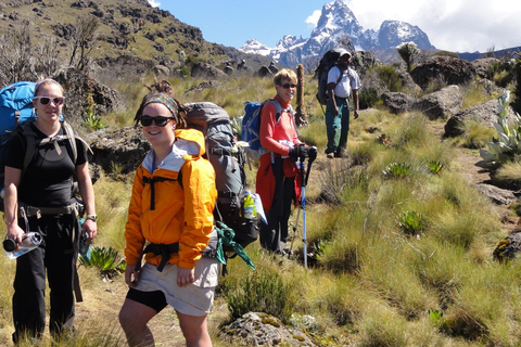 2 Dagen Over Nacht Mount Kenya Beklimming - Sirimon Route