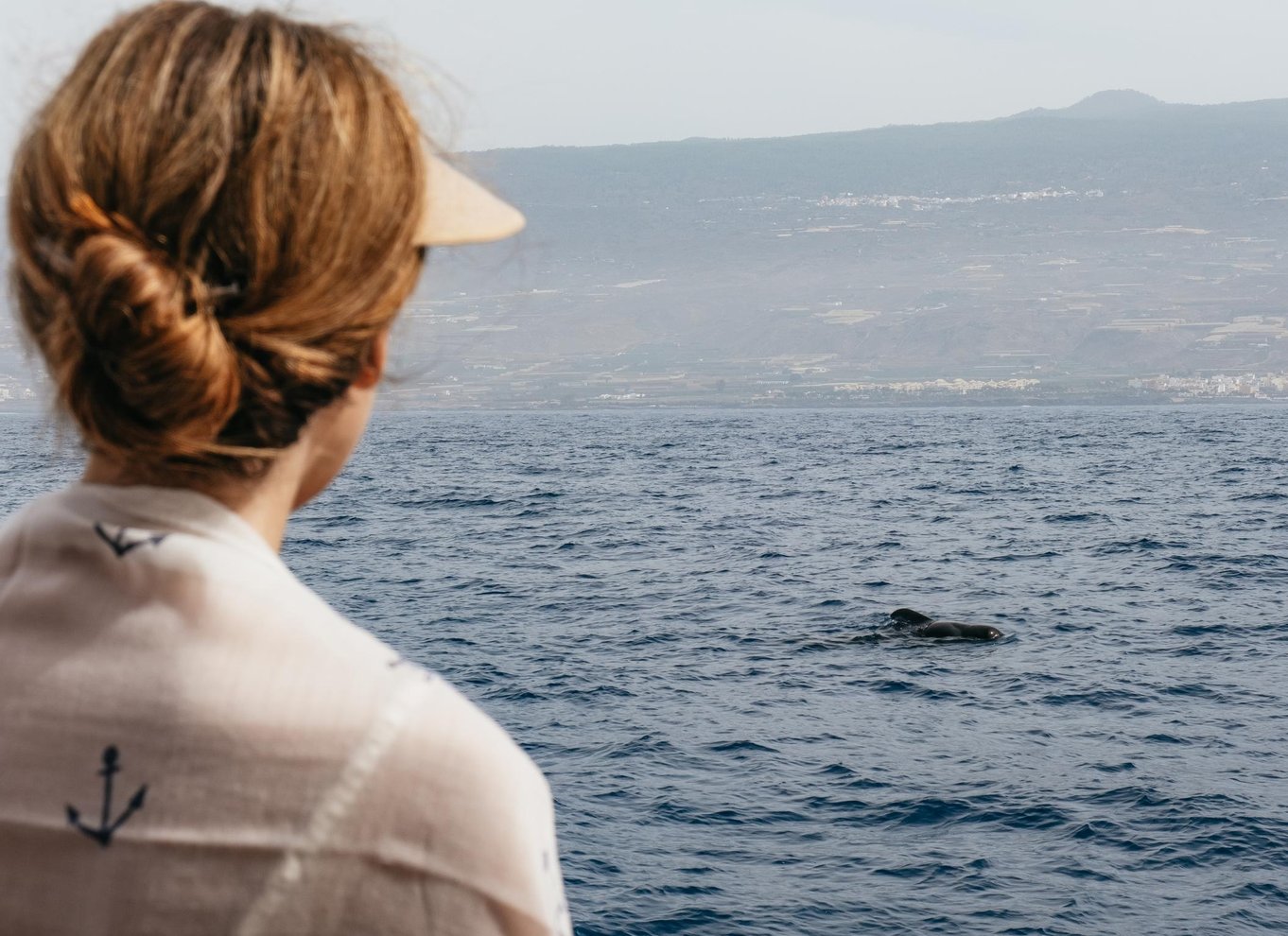 Costa Adeje: Økokrydstogt med hvaler og delfiner med snacks og drikkevarer