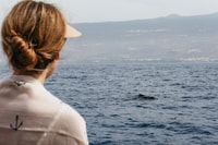 Costa Adeje, Dolphin & Whale Eco-Cruise mit Snacks & Getränken - Hizvo