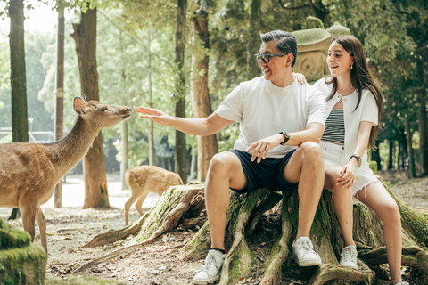 Sereniteit in Nara: Herinneringen tussen herten en tempels