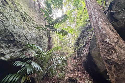 From Negombo: Maligathenna & Pilikuttuwa Temple Hike