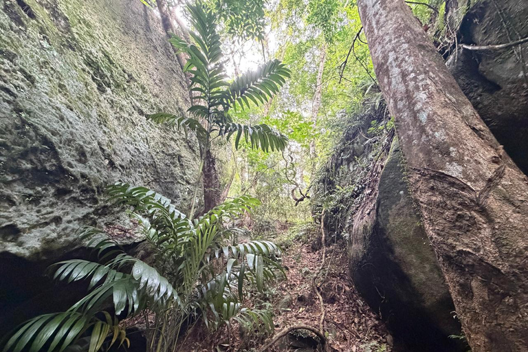 From Negombo: Maligathenna & Pilikuttuwa Temple Hike