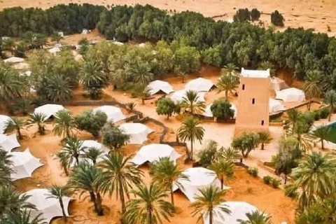 From Djerba: Desert Camp & Amazigh Villages Tour with Dinner