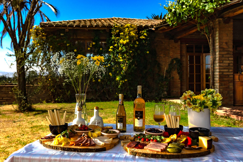 Quito: tour di mezza giornata dei vigneti d&#039;alta quota e degustazione di vini