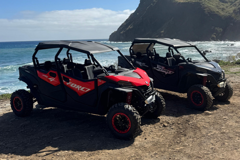Passeio de buggy na Madeira – Floresta Selvagem e Vistas para a Montanha (4 lugares)Madeira: Passeio de Buggy Off Road (4 lugares)