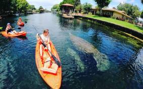 Crystal River: Kayak Rental