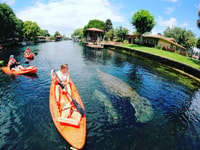 Crystal River, alquiler de kayak - Housity