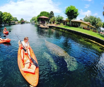 Crystal River: Kayak Rental