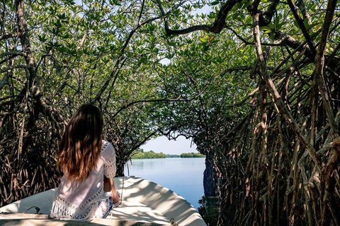 Bentota City Tour with Boat Safari & Kande Viharaya