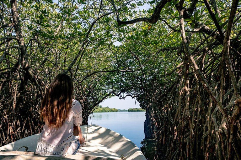 Bentota City Tour with Boat Safari & Kande Viharaya