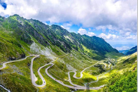 Från Bukarest: Făgăraș-bergen och björnskådning