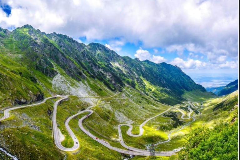 Från Bukarest: Făgăraș-bergen och björnskådning