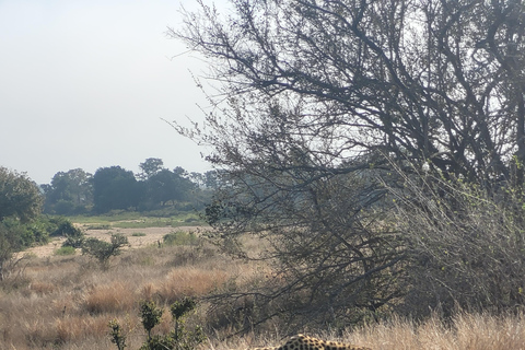 Excursão de 5 dias com tudo incluído para o Kruger e Pano saindo de JHB