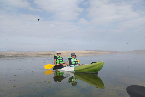 帕拉卡斯湾皮划艇探险帕拉卡斯湾皮划艇探险之旅