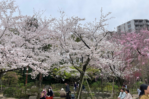 Hiroshima y Miyajima Satisfactorio Tour Privado de Gemas con Local 7h