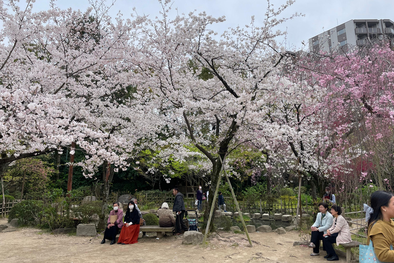 Hiroshima y Miyajima Satisfactorio Tour Privado de Gemas con Local 7h