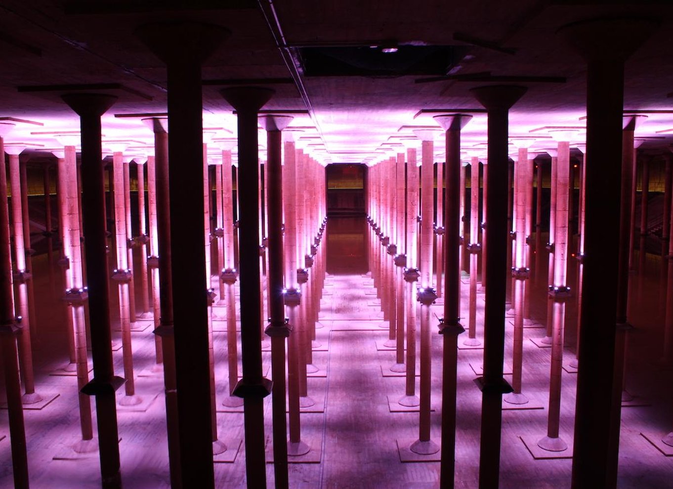 Houston: Buffalo Bayou Park Cistern History Tour