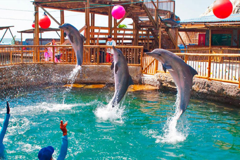 SANTA MARTA: Visita com entrada no Aquário e transfer para Playa Blanca!