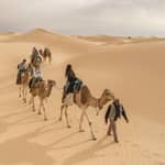 Da Tunisi, Sousse e Hammamet: tour di 3 giorni nel sud e nel Sahara
