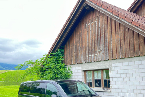 Depuis Zurich : Excursion privée d&#039;une journée à Interlaken