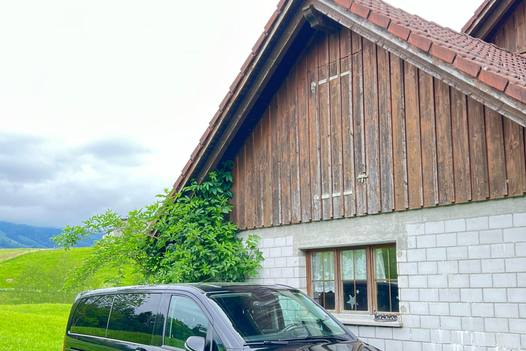 Depuis Zurich : Excursion privée d&#039;une journée à Interlaken