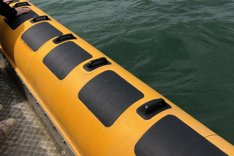 Lowestoft: Scroby Sands Seal Watching Trip Scroby Sands Seal Trip