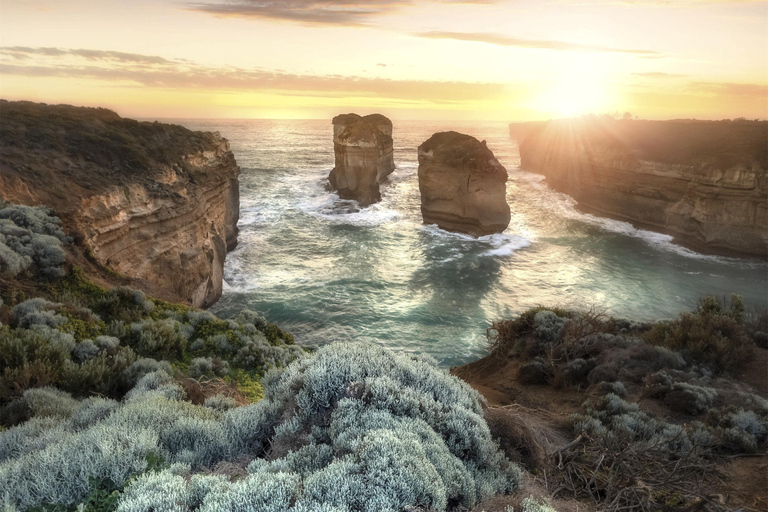 Da Melbourne：Great Ocean Road Reversed Route Tour di un giorno intero