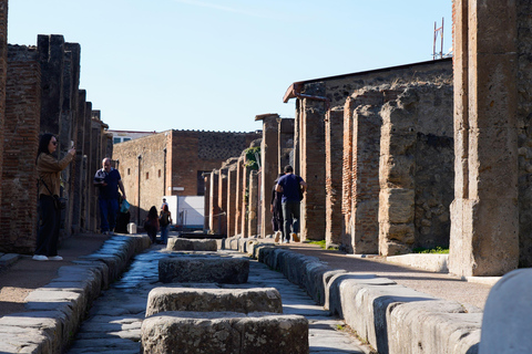 From Sorrento: Pompeii Skip-the-Line, Train Tkt & Tour