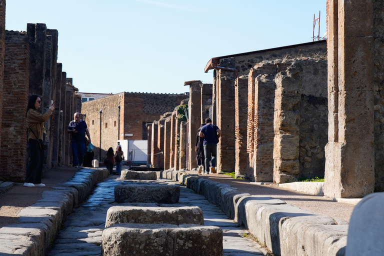 From Sorrento: Pompeii Skip-the-Line, Train Tkt & Tour