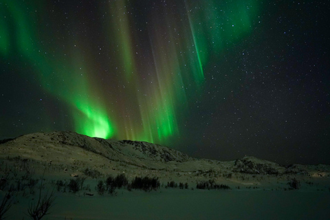 Tromsø: Small-Group Adventurous Northern Lights Hunt