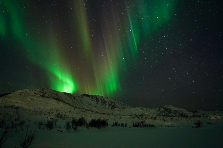 Tromsø: Small-Group Adventurous Northern Lights Hunt