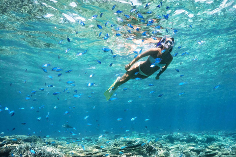 Ibiza: Formentera Tour with Meals Water Activity & Free Time