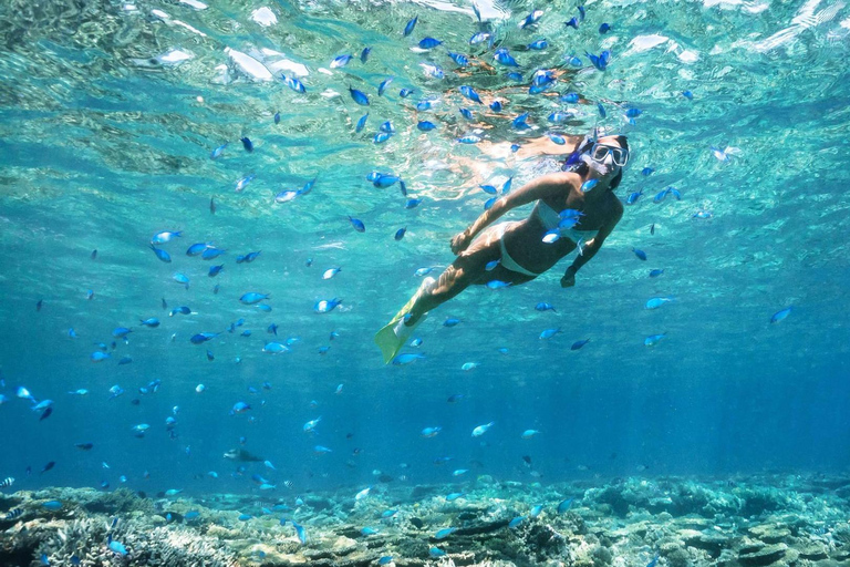 Ibiza: Formentera Tour with Meals Water Activity & Free Time