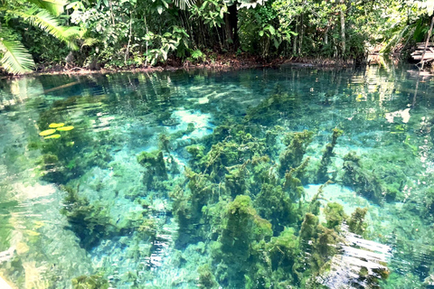 From Ao Nang: Kayaking at Klong Rud with Hotel Transfers