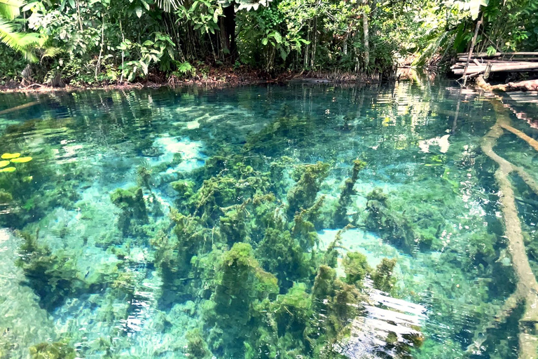 From Ao Nang: Kayaking at Klong Rud with Hotel Transfers